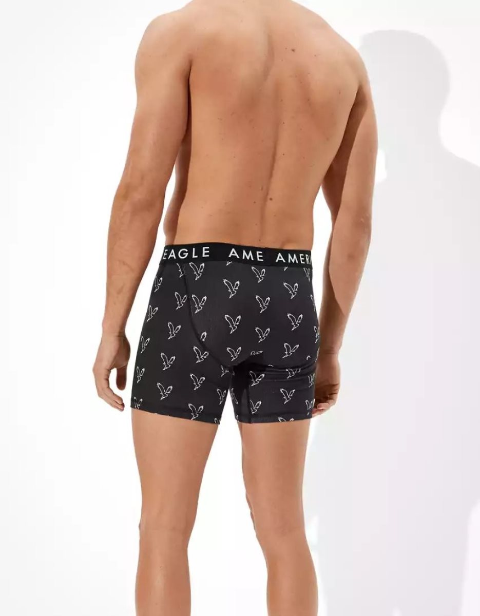 Slips American Eagle AEO Eagle 6